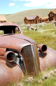 Going back to nature